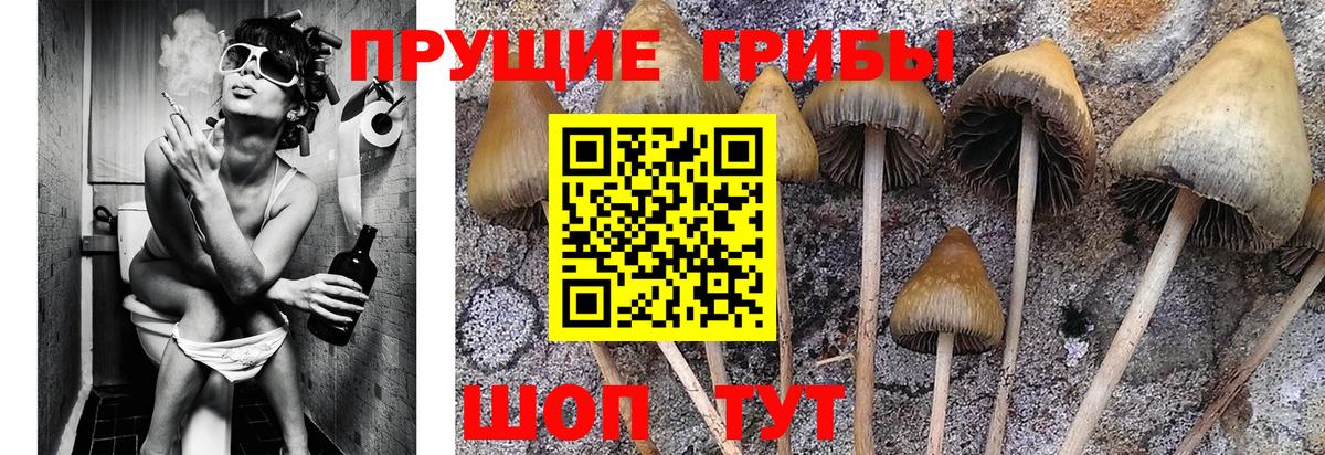 Галлюциногенные грибы GOLDEN TEACHER Энгельс