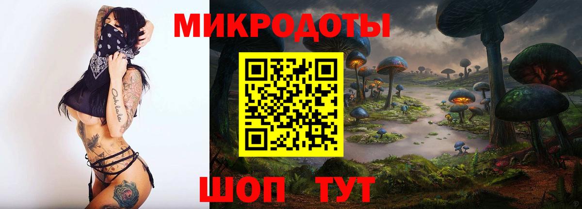 Энгельс  Галлюциногенные грибы Psilocybine cubensis  Вход с VPN 